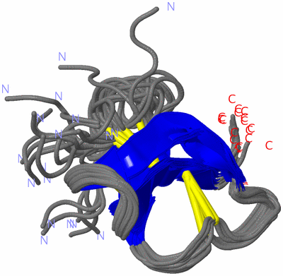 Image NMR Structure - all models