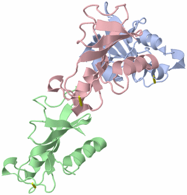 Image Asymmetric Unit