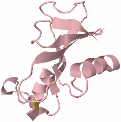 Image Biological Unit 3