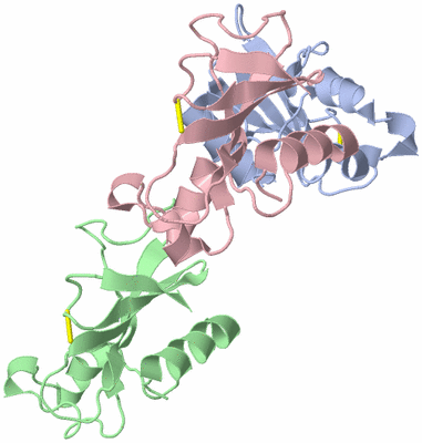 Image Asymmetric Unit