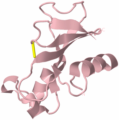 Image Biological Unit 3