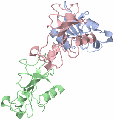 Image Asymmetric Unit