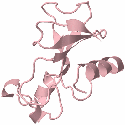 Image Biological Unit 3