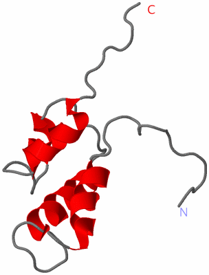 Image NMR Structure - model 1