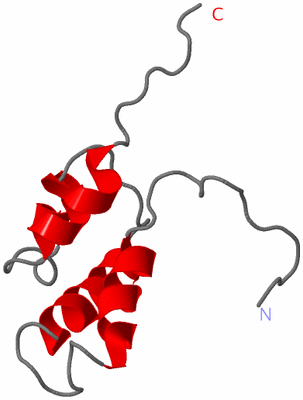 Image NMR Structure - model 1