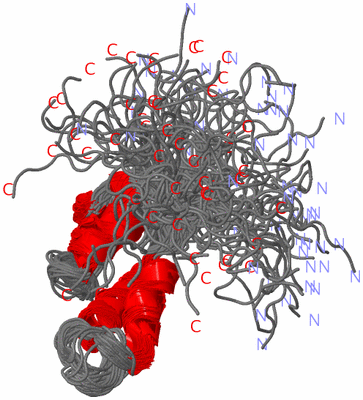 Image NMR Structure - all models