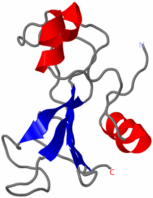 Image NMR Structure - model 1