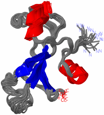 Image NMR Structure - all models