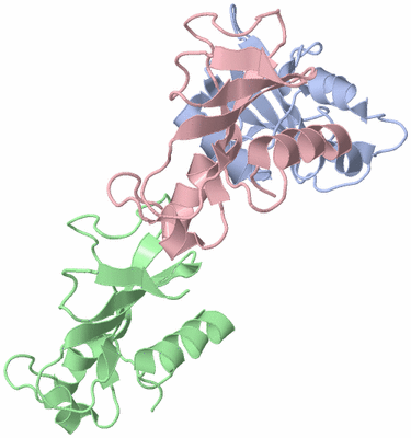 Image Asymmetric Unit
