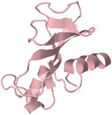 Image Biological Unit 3