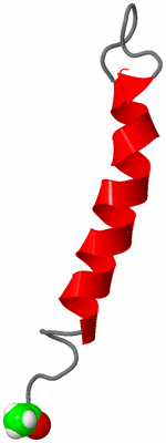 Image NMR Structure - model 1