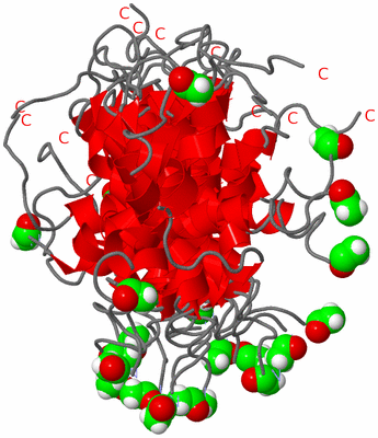 Image NMR Structure - all models