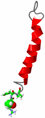 Image NMR Structure - model 1, sites