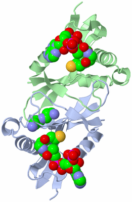 Image Asym./Biol. Unit