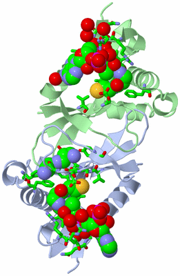 Image Asym./Biol. Unit - sites