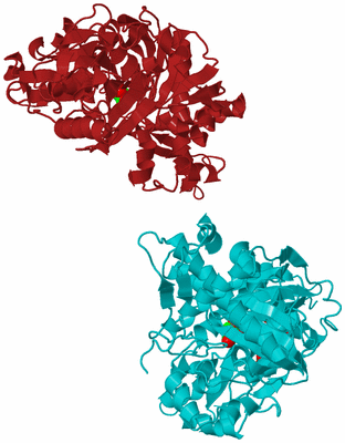 Image Biological Unit 1