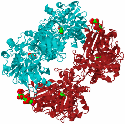 Image Biological Unit 2