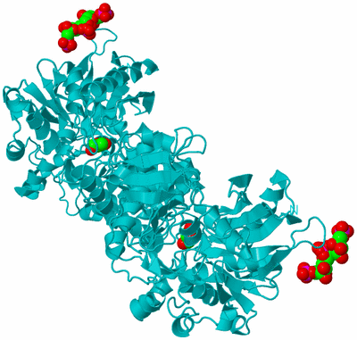 Image Biological Unit 3