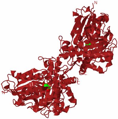 Image Biological Unit 4