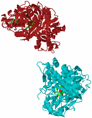 Image Asym. Unit - sites