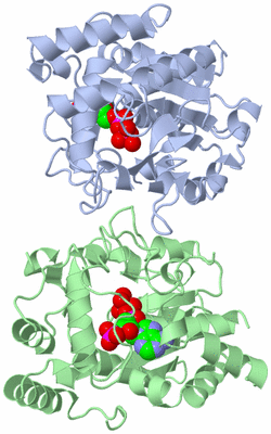 Image Asym./Biol. Unit