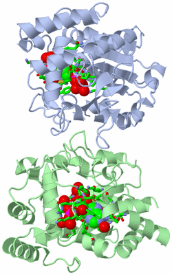 Image Asym./Biol. Unit - sites