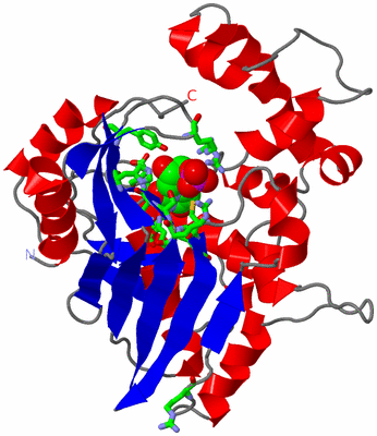 Image Asym. Unit - sites