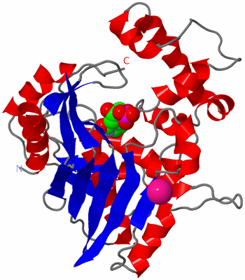 Image Asymmetric Unit