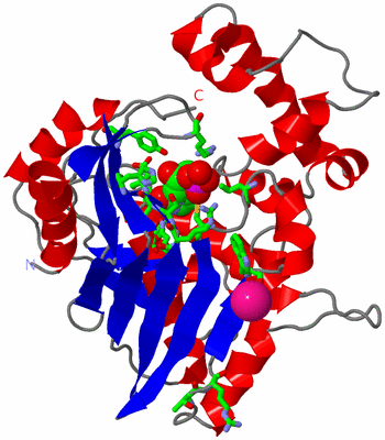 Image Asym. Unit - sites