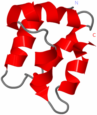 Image NMR Structure - model 1