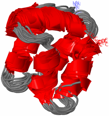 Image NMR Structure - all models