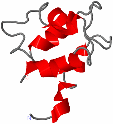 Image NMR Structure - model 1