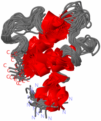 Image NMR Structure - all models