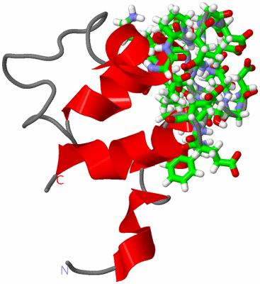 Image NMR Structure - model 1, sites