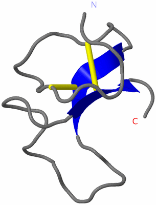 Image NMR Structure - model 1