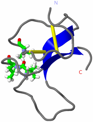 Image NMR Structure - model 1, sites