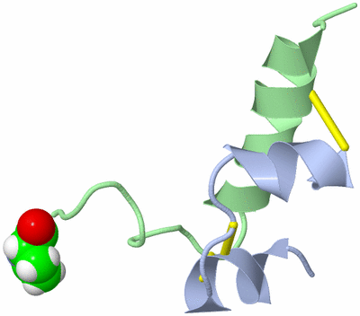 Image NMR Structure - all models