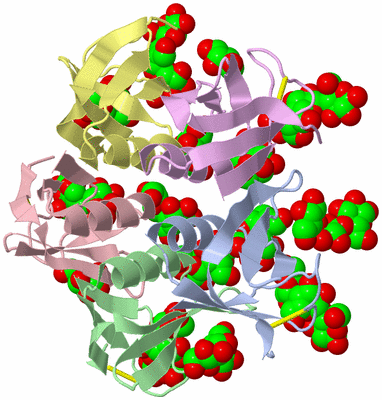 Image Biological Unit 1