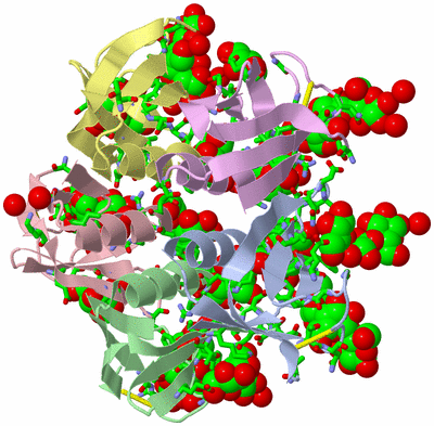 Image Biol. Unit 1 - sites