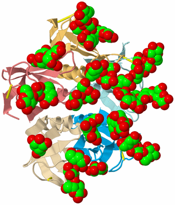 Image Biological Unit 2