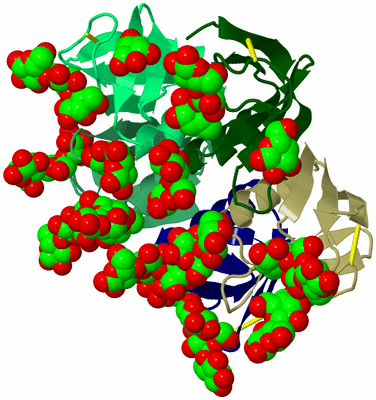 Image Biological Unit 4