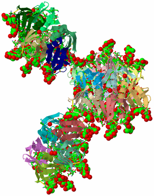 Image Asym. Unit - sites