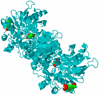 Image Biological Unit 1