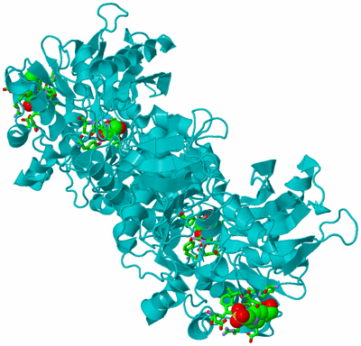 Image Biol. Unit 1 - sites