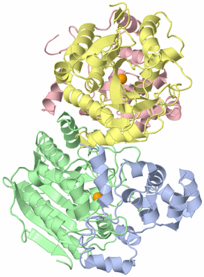Image Asym./Biol. Unit