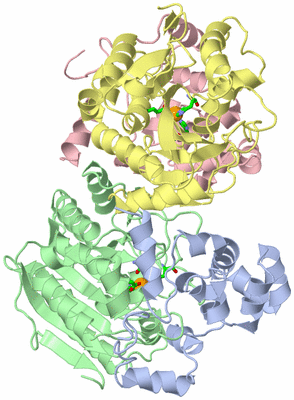 Image Asym./Biol. Unit - sites