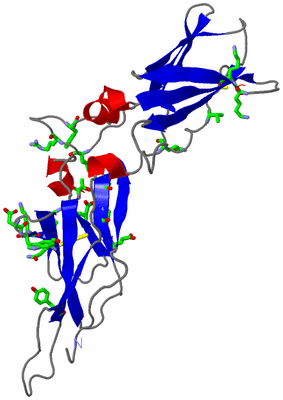 Image Asym. Unit - sites