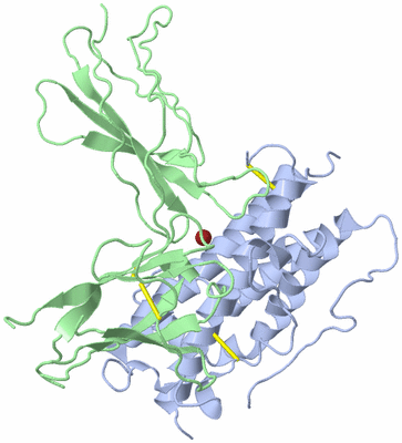 Image Asym./Biol. Unit