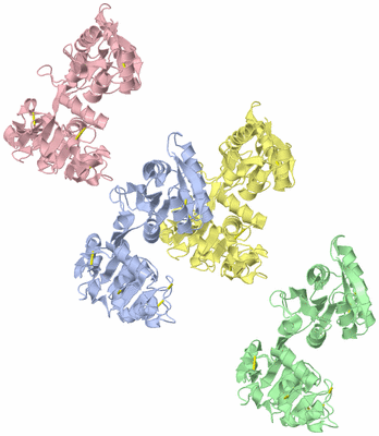 Image Asym./Biol. Unit