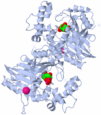 Image Biological Unit 1